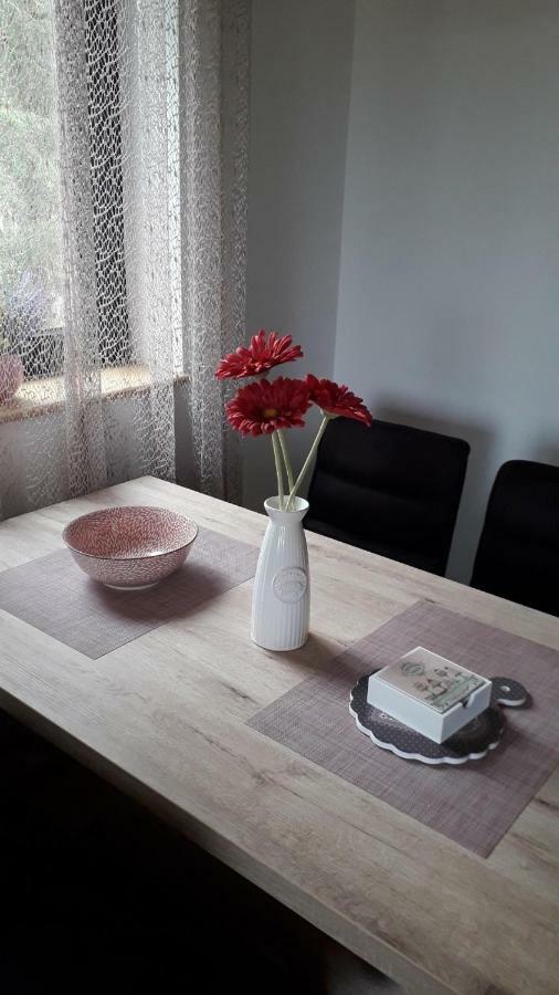 Apartman Nana Svetogorska 19 ,Stan 17 Ζλάτιμπορ Εξωτερικό φωτογραφία