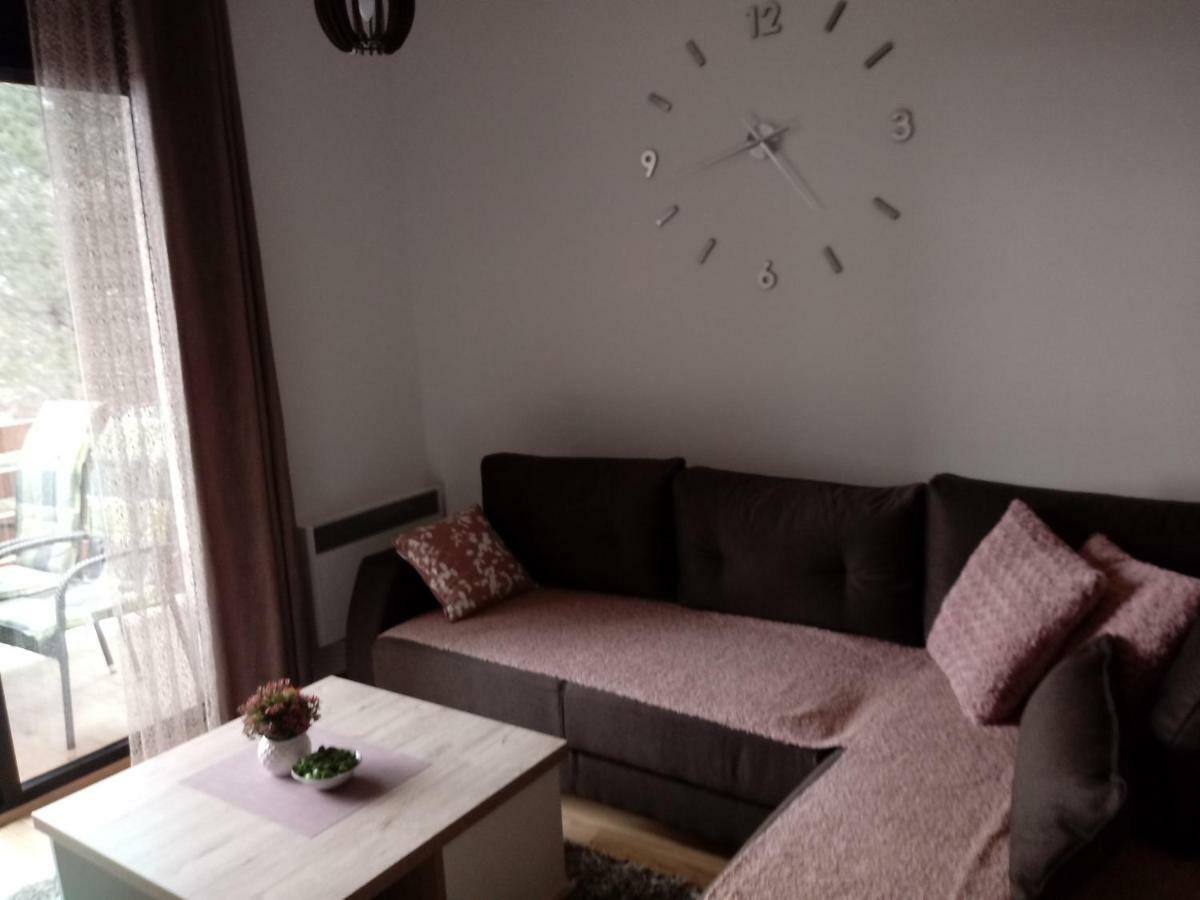 Apartman Nana Svetogorska 19 ,Stan 17 Ζλάτιμπορ Εξωτερικό φωτογραφία