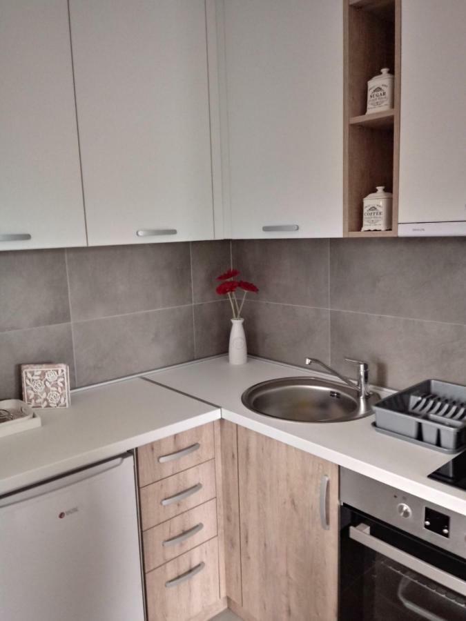 Apartman Nana Svetogorska 19 ,Stan 17 Ζλάτιμπορ Εξωτερικό φωτογραφία