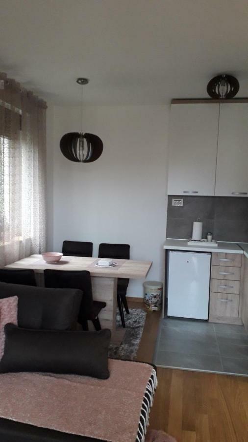 Apartman Nana Svetogorska 19 ,Stan 17 Ζλάτιμπορ Εξωτερικό φωτογραφία