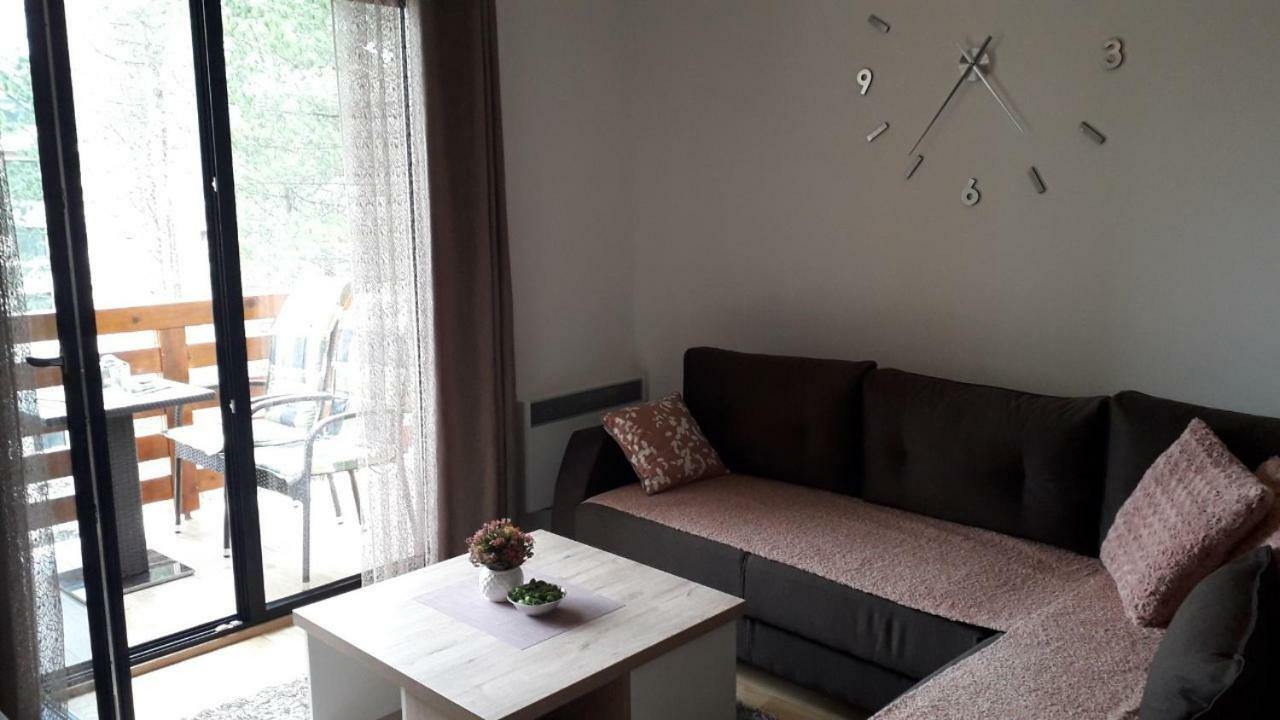 Apartman Nana Svetogorska 19 ,Stan 17 Ζλάτιμπορ Εξωτερικό φωτογραφία