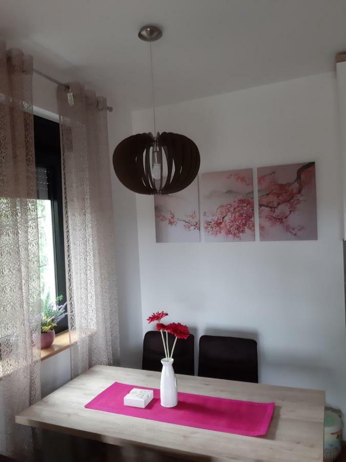 Apartman Nana Svetogorska 19 ,Stan 17 Ζλάτιμπορ Εξωτερικό φωτογραφία