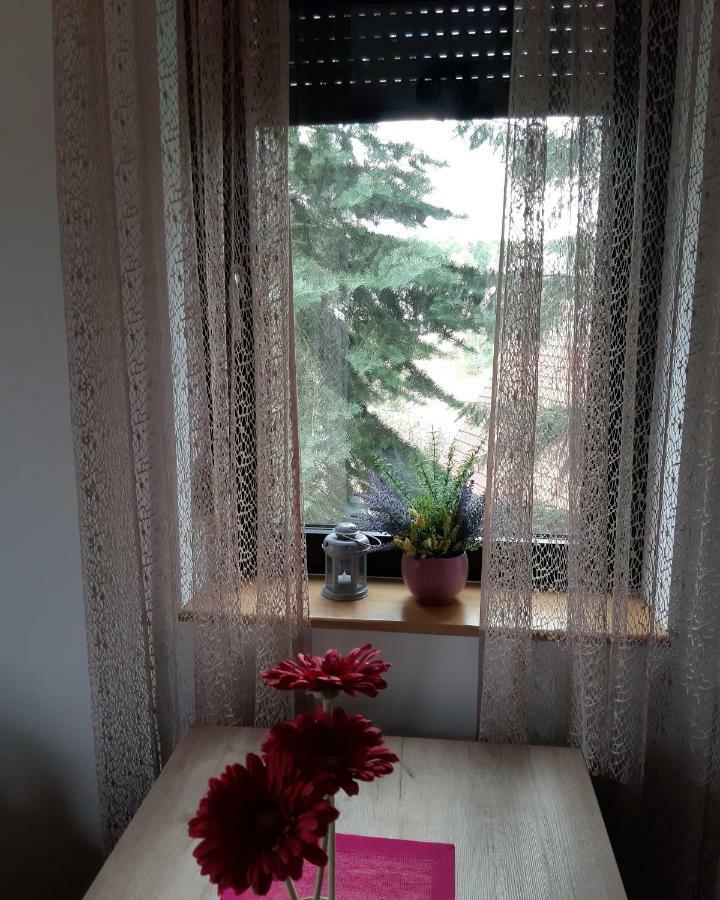 Apartman Nana Svetogorska 19 ,Stan 17 Ζλάτιμπορ Εξωτερικό φωτογραφία
