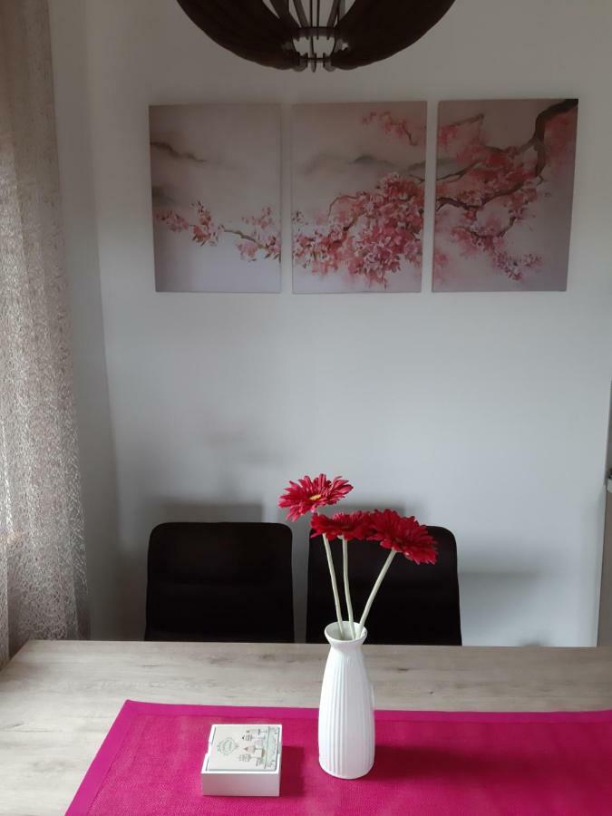 Apartman Nana Svetogorska 19 ,Stan 17 Ζλάτιμπορ Εξωτερικό φωτογραφία